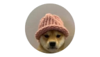 dogwifhat